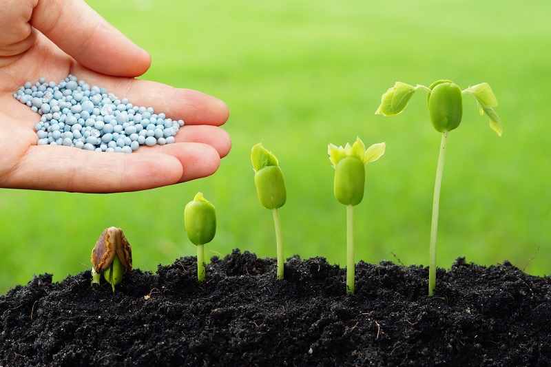Important Statement on China's 2026 Fertilizer Export Policy